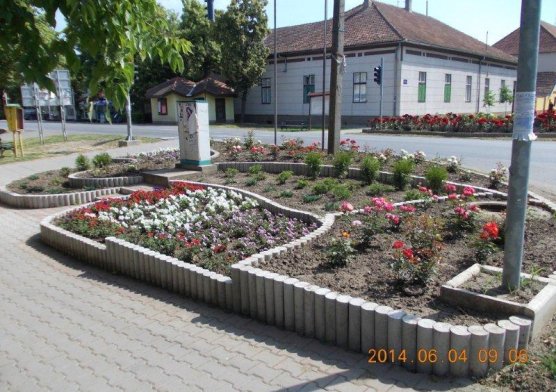 Mohol, 2014. június