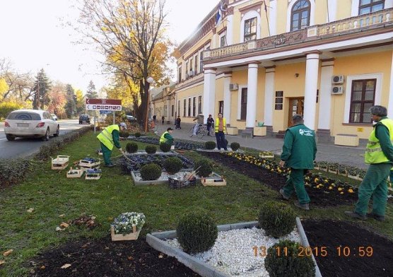 jesenja_sadnja_cvea_2_20151116_1700501745