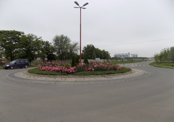 dscn2577