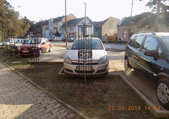 sadnja_novog_drvoreda_3_20160122_1652732648