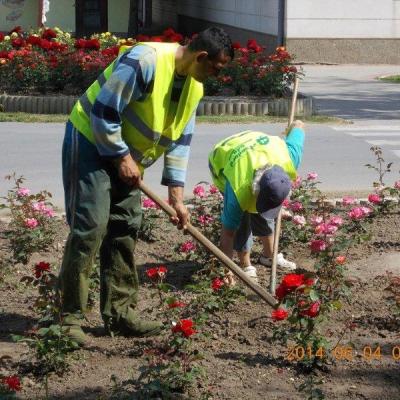 Centar Mola 6 20140610 1248470372